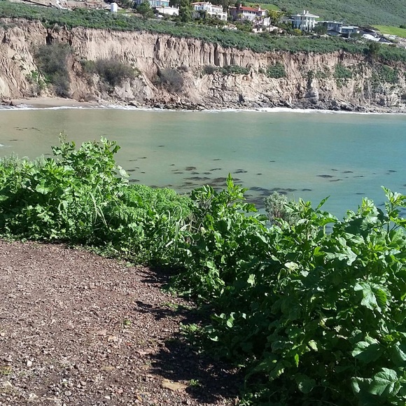 Meet your Posher, Kristina - Picture 2 of 7